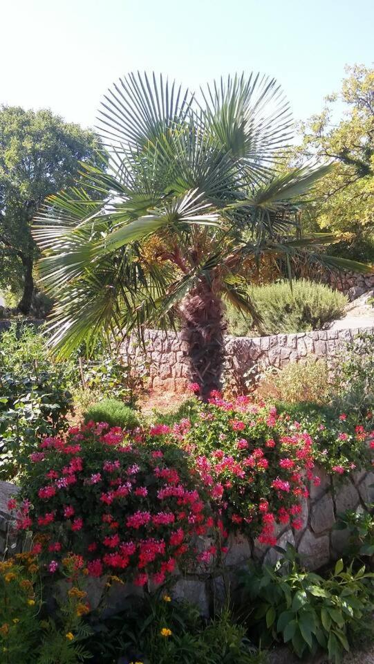 Apartman Kosić Vrh  Bagian luar foto